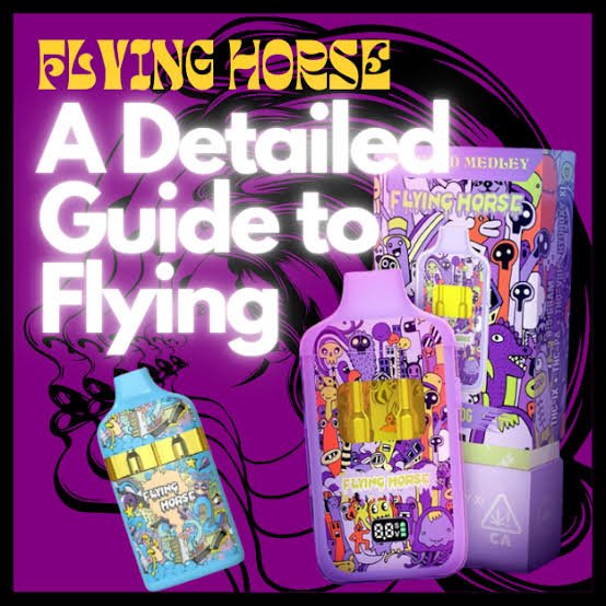 Is Flying Horse Safe